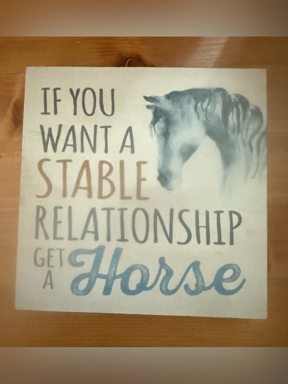Stable Relationship Horse Shelf Wood Sign